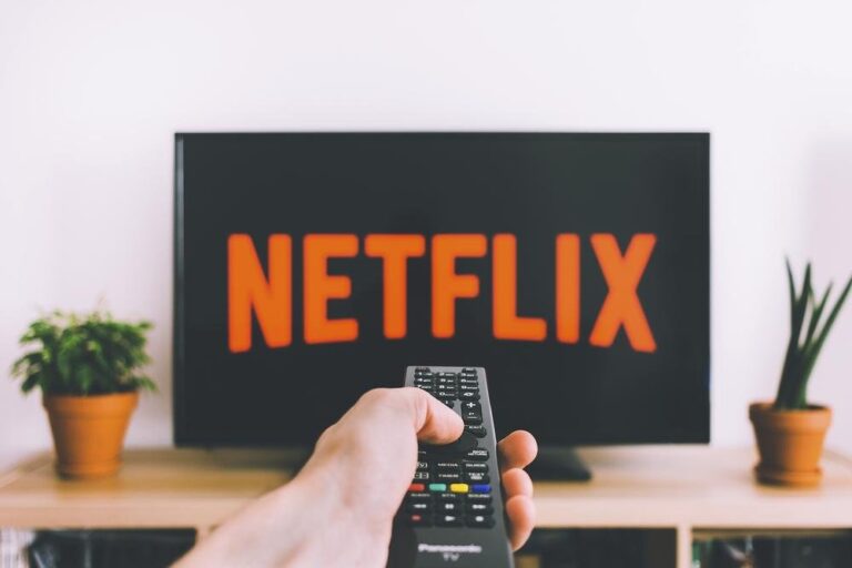 Top 10 Netflix Hindi Web Series 2024 List Your Ultimate Watch Guide